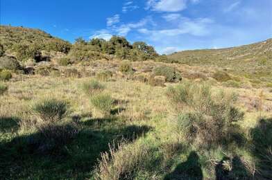 Terrain  45000 €
