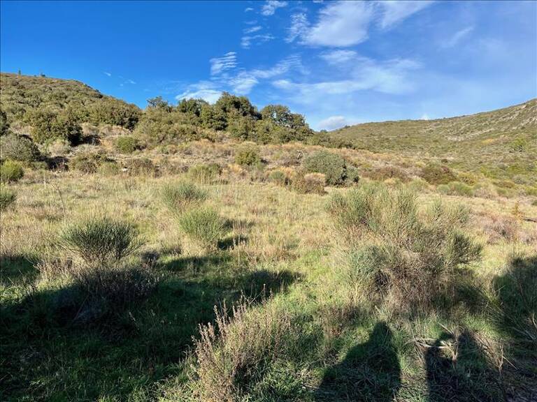 Terrain non constructible de 0 pièces principales — photo 1