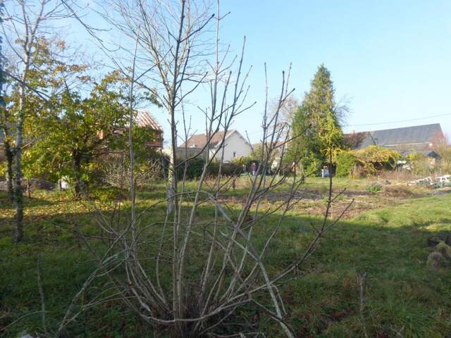 Terrain Constructible de 690 m² à Mer — photo du bien