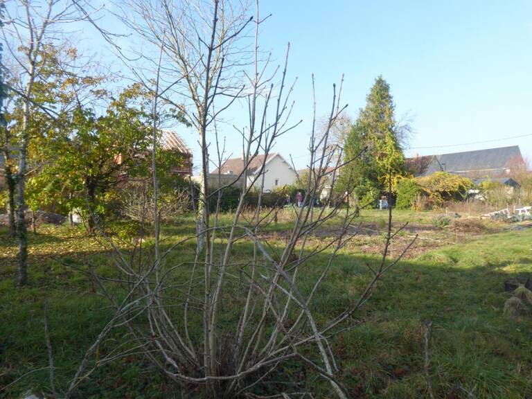 Terrain Constructible de 690 m² à Mer — photo 1