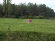 Terrain Thoury 4008 m2 — photo 2