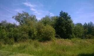 Terrain  1110 m² à vendre à Dhuizon (41220)