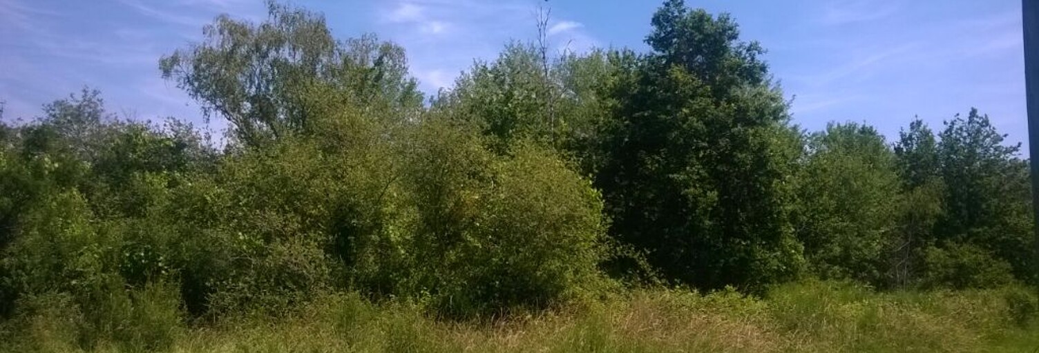 Terrain  1110 m² à vendre à Dhuizon (41220)