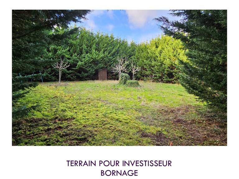 A VENDRE TERRAIN AVEC PUITS ET CABANON — photo 1