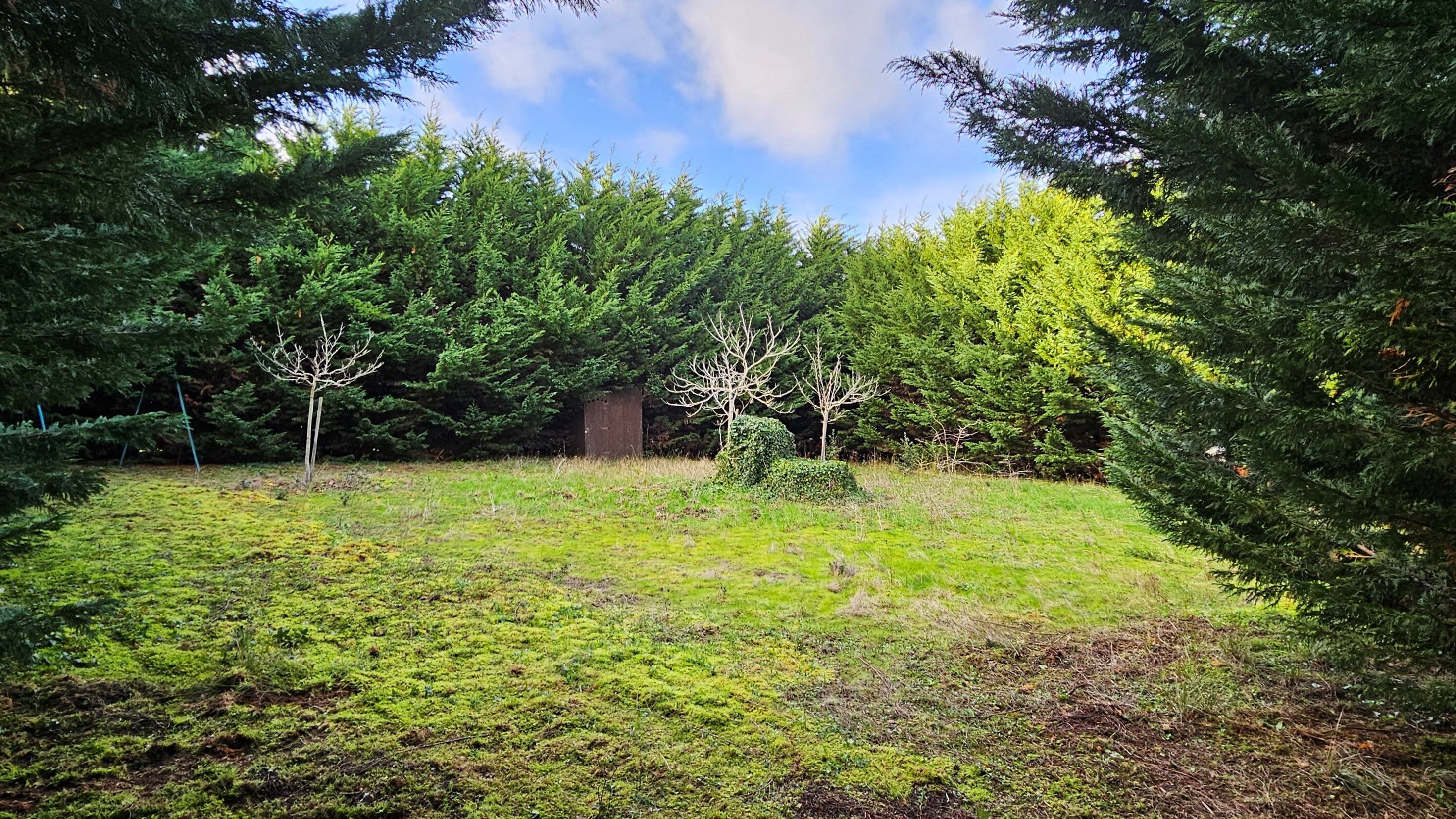 A vendre terrain avec puits et cabanon