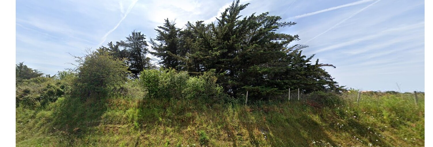 Terrain  700 m² à vendre à Préfailles (44770)