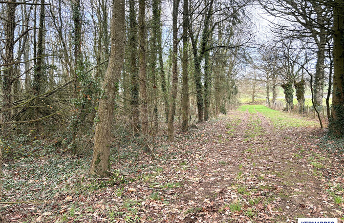 A VENDRE Etang + Terrain à Champeaux 2 ha 63 - 91 000  HAI — photo 2