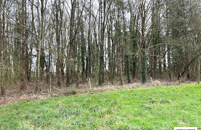 A VENDRE Etang + Terrain à Champeaux 2 ha 63 - 91 000  HAI — photo 3