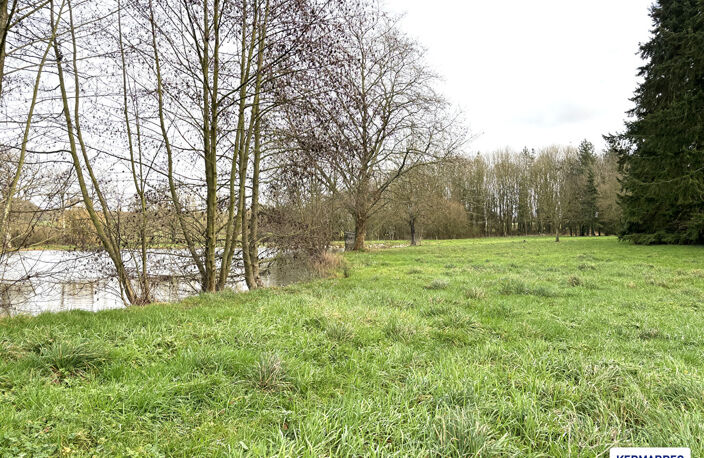 A VENDRE Etang + Terrain à Champeaux 2 ha 63 - 91 000  HAI — photo 5