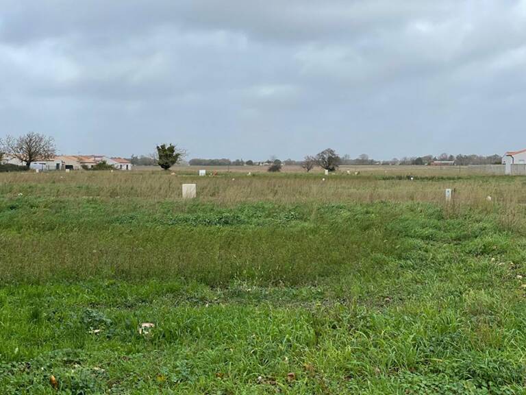 Terrain constructible Viabilisé -  SAINT PORCHAIRE  Lot 04 — photo 1