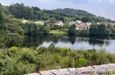 vente maison 473 680 € à proximité de Capavenir-Vosges (88150)