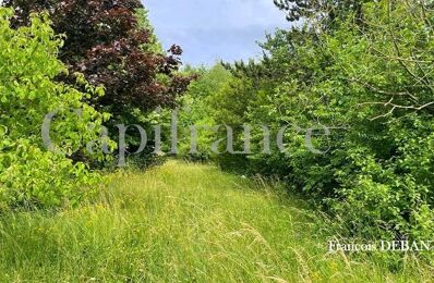 terrain  pièces 760 m2 à vendre à Bétheniville (51490)