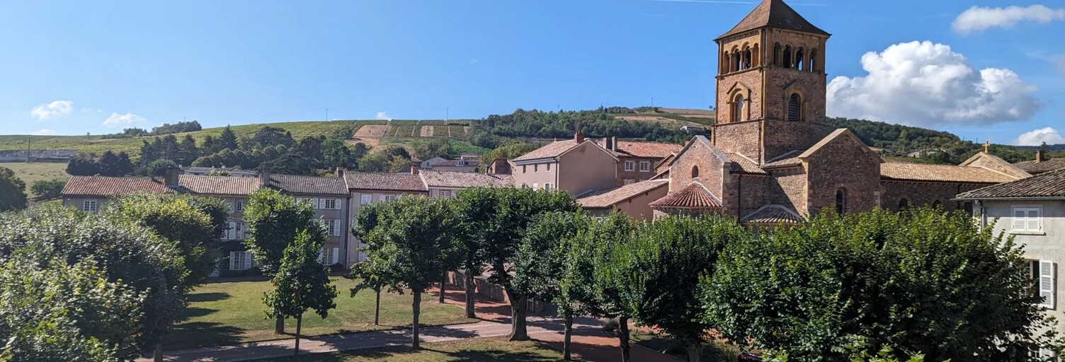 Maison 11 Pièces 290 m² à vendre à Salles-Arbuissonnas-en-Beaujolais (69460)