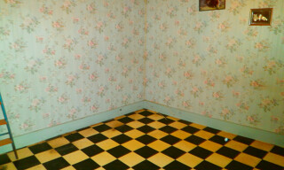 Photo N° 6