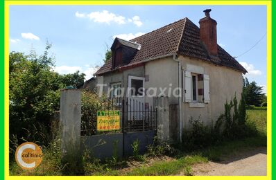 vente maison 29 000 € à proximité de Cerbois (18120)