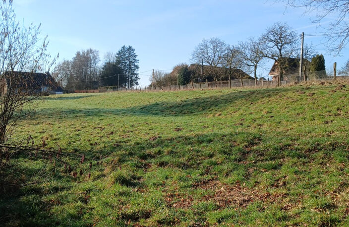Vente terrain constructible de 10,08 ares Angeot 78 000 euro — photo 4