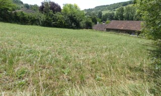 Photo N° 3