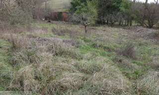 Terrain  1600 m² à vendre à Cordes-sur-Ciel (81170)