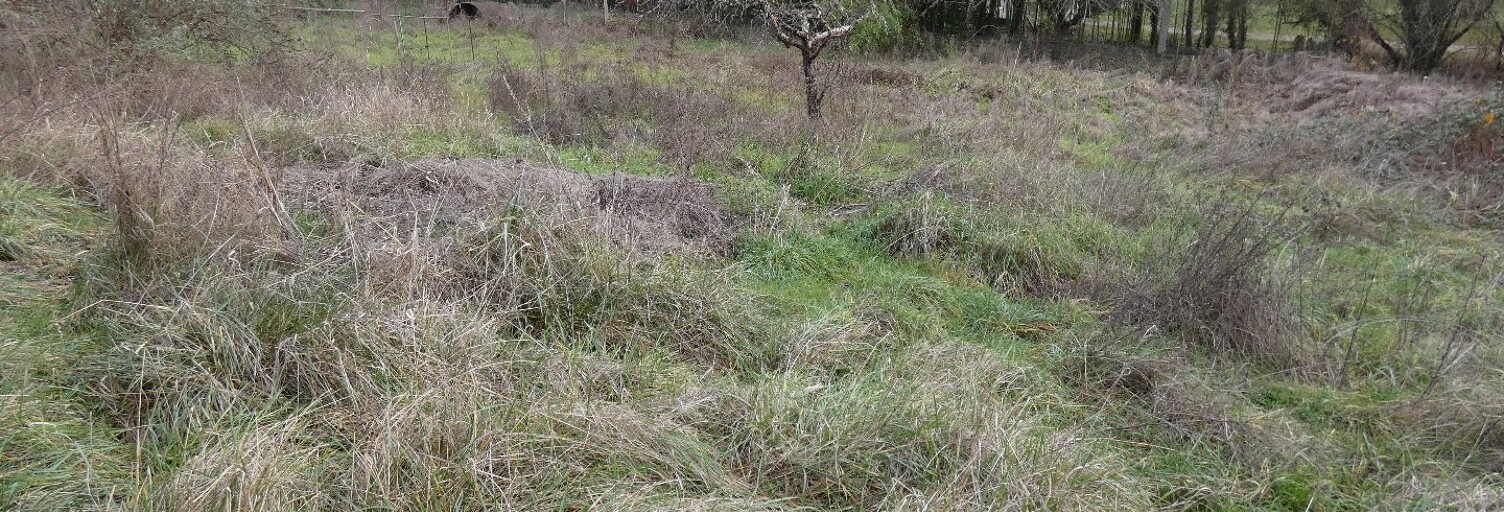 Terrain  1600 m² à vendre à Cordes-sur-Ciel (81170)