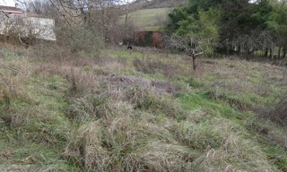 Photo N° 4