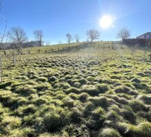 Photo Terrain Xertigny