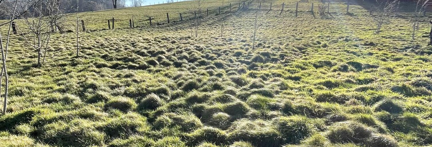 Terrain  1278 m² à vendre à Xertigny (88220)