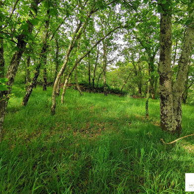 Terrain  63200 €