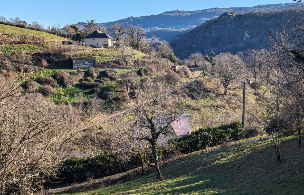 terrain  pièces 3175 m2 à vendre à Espalion (12500)