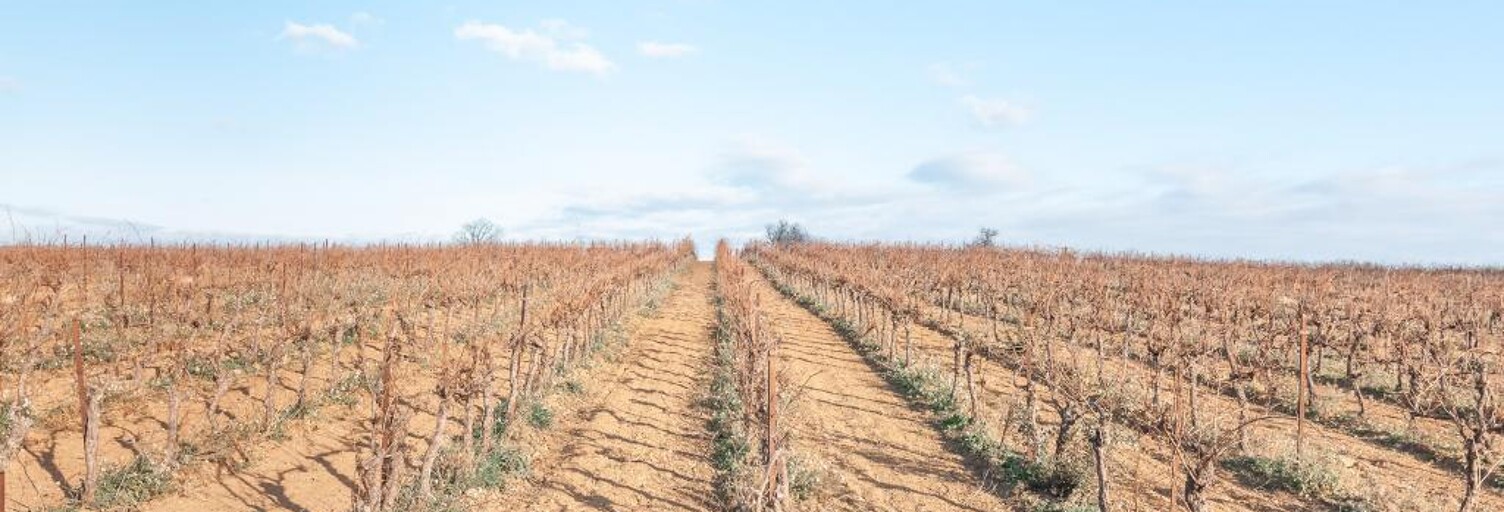 Terrain  57000 m² à vendre à Bélarga (34230)