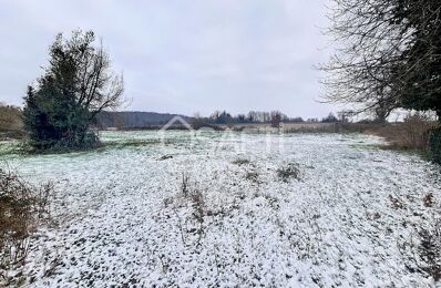 vente terrain 74 000 € à proximité de Villethierry (89140)