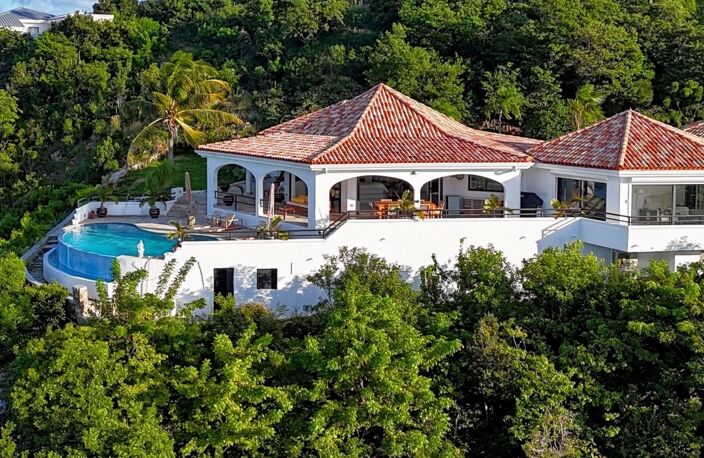 Villa - Terres Basses — photo 2