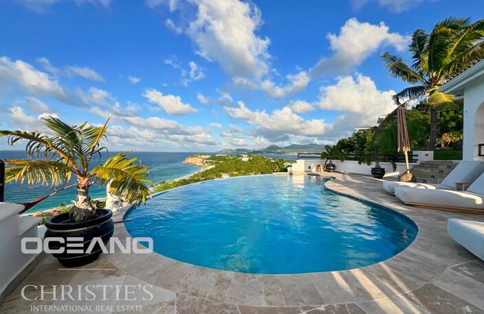 Villa - Terres Basses — photo 3
