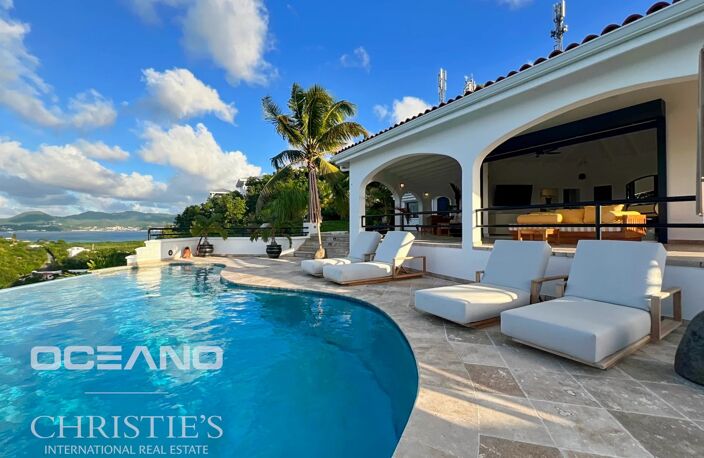 Villa - Terres Basses — photo 4