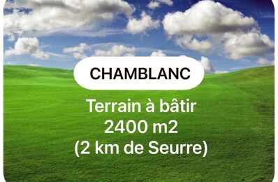 terrain  pièces 2400 m2 à vendre à Seurre (21250)