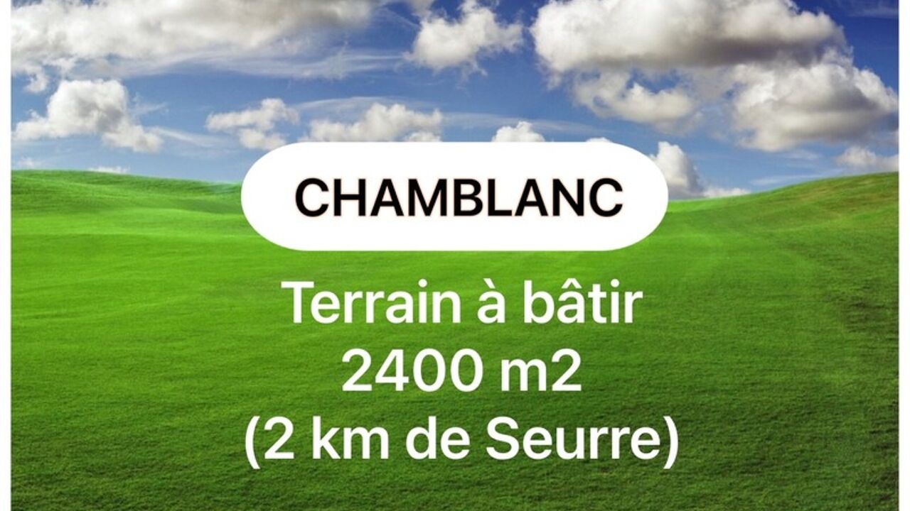 terrain  pièces 2400 m2 à vendre à Seurre (21250)