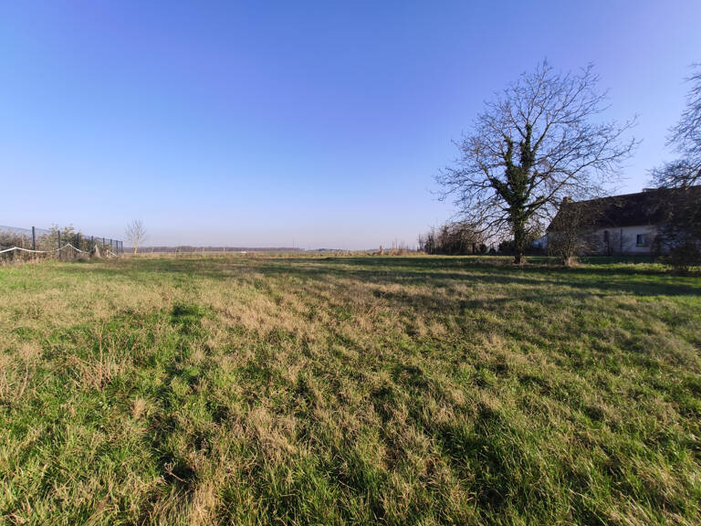 Entre Meung sur Loire et Huisseau sur Mauves — photo 1