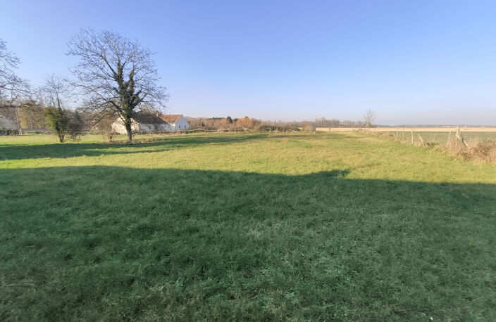 Entre Meung sur Loire et Huisseau sur Mauves — photo 4