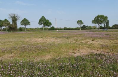 terrain  pièces 432 m2 à vendre à Muides-sur-Loire (41500)