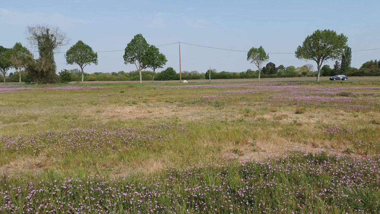 terrain  pièces 432 m2 à vendre à Muides-sur-Loire (41500)