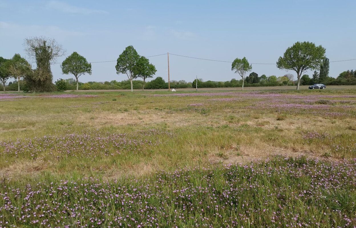 terrain  pièces 432 m2 à vendre à Muides-sur-Loire (41500)