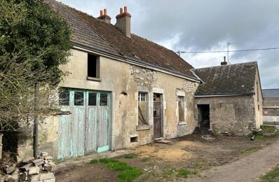 vente maison 38 000 € à proximité de Muides-sur-Loire (41500)