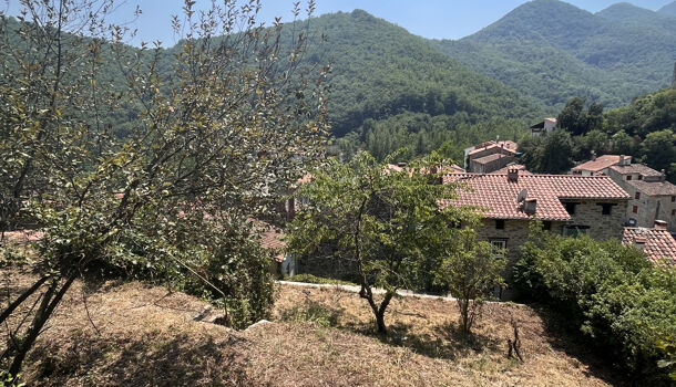 Villa / Maison 11 pièces  à vendre Tech (Le) 66230