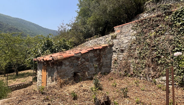 Villa / Maison 11 pièces  à vendre Tech (Le) 66230