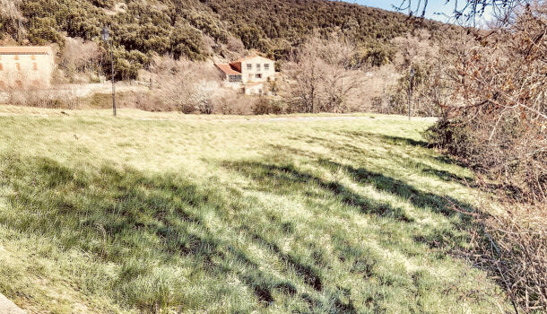 Terrain  à vendre Amélie-les-Bains-Palalda 66110