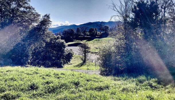 Terrain  à vendre Amélie-les-Bains-Palalda 66110