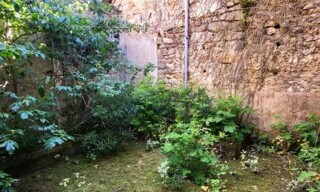 Photo N° 6
