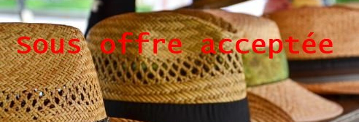 Commerce  79 m² à vendre à Aix-les-Bains (73100)