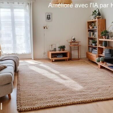 Appartement 3 pièces 49 m²