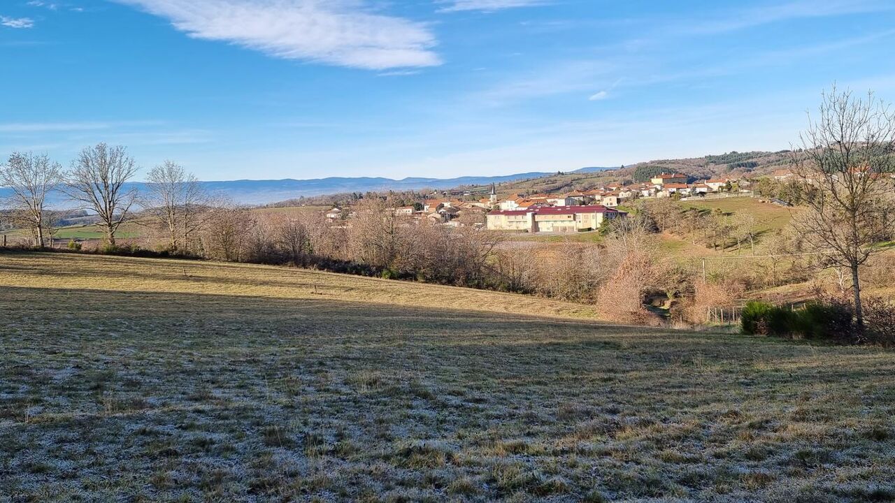 terrain  pièces 1329 m2 à vendre à Montchal (42360)