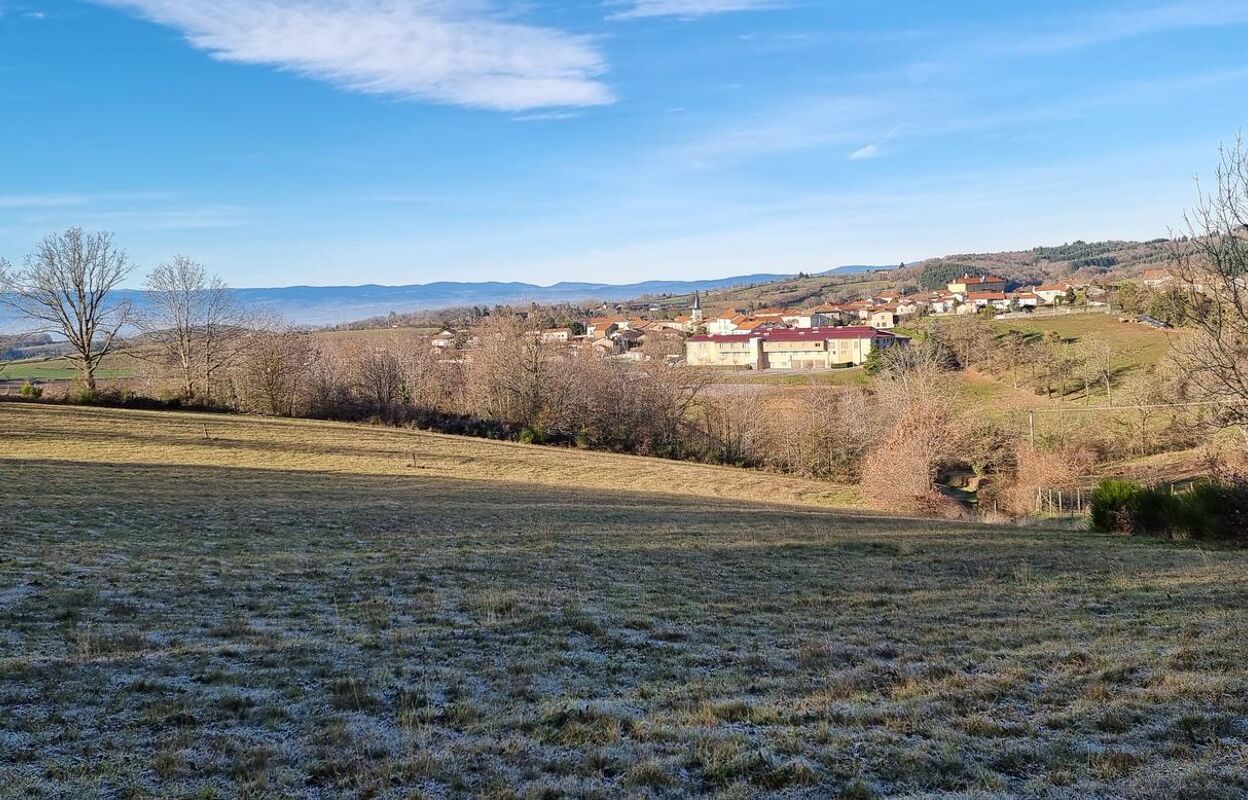 terrain  pièces 1329 m2 à vendre à Montchal (42360)